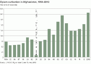 Opium production in Afghanistan.gif