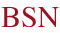 Bsn logo2.gif