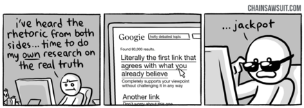 Confirmation bias on search engines.png