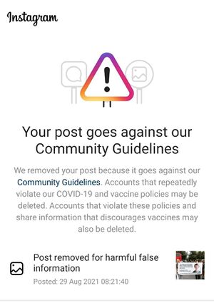 Instagram censorship.jpg