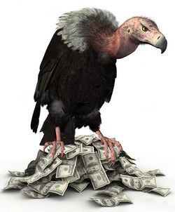 Vulture Fund.jpg