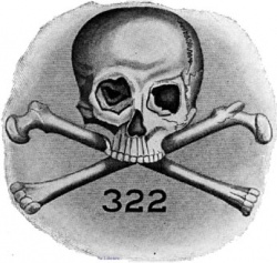 Bones logo.jpg