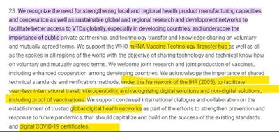 Vaccine-Passports-G20-Declaration.jpg