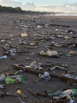 Bali beach pollution.jpg