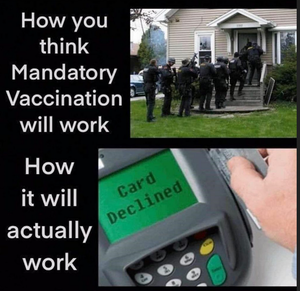 Manda vaccines.png