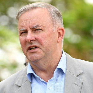 Anthony Albanese.png