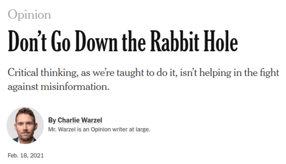 NYT-rabbithole.png