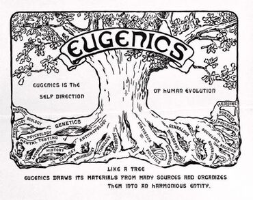 Eugenics.jpg