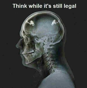 Think while its still legal.jpg