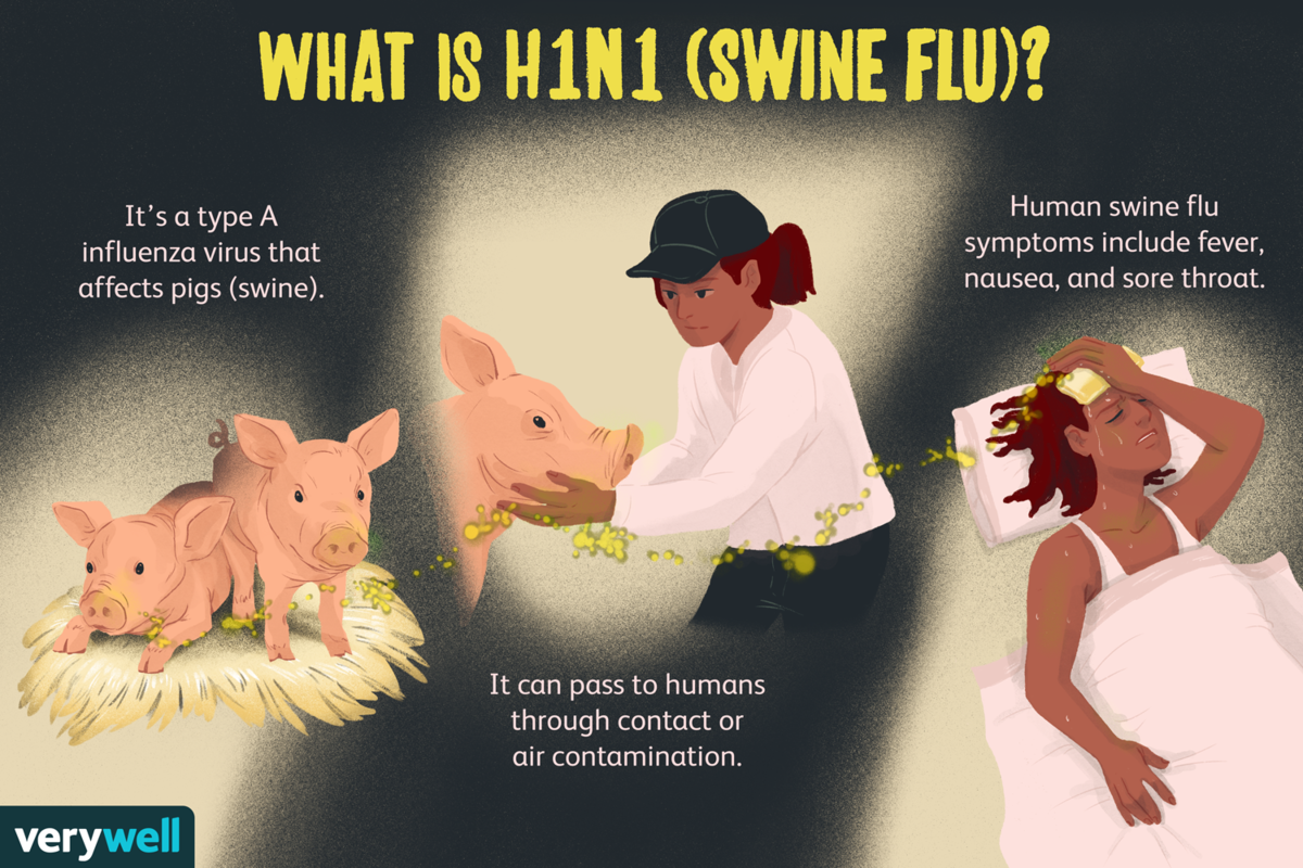 2009 swine flu outbreak