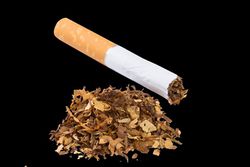 Tobacco.jpg