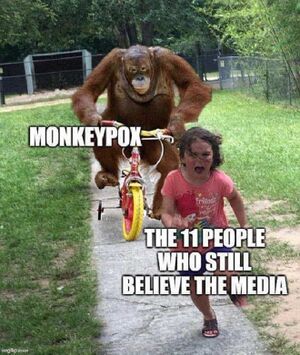 Monkeypox.jpg
